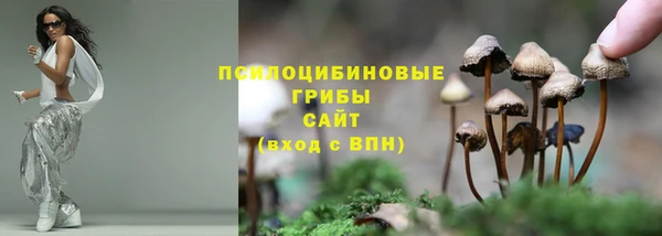 меф Арсеньев