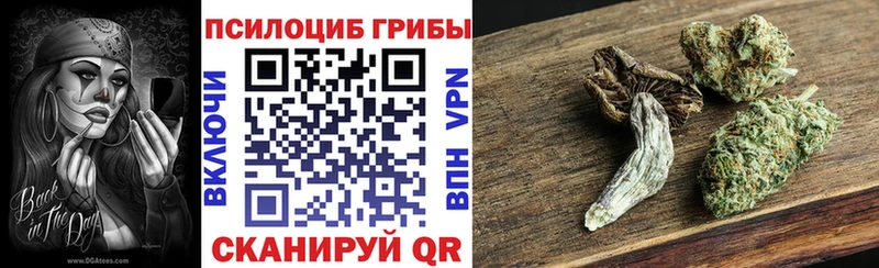Галлюциногенные грибы Psilocybe  omg как войти  Петухово  где купить  